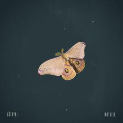vStavki — Motylek