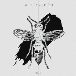 Мёртвые Осы  — Стены