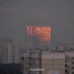 Nutakoe  — Рудералис