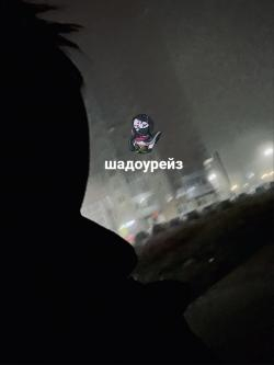 Shadowraze  — Foggy Morning