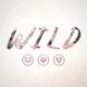Wild  — Back To You